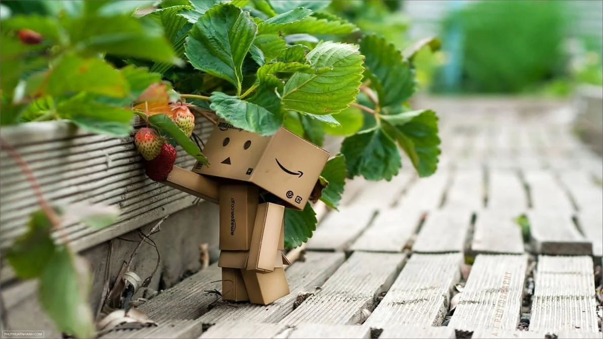 Hình nền may mắn trong công việc thuận lợi