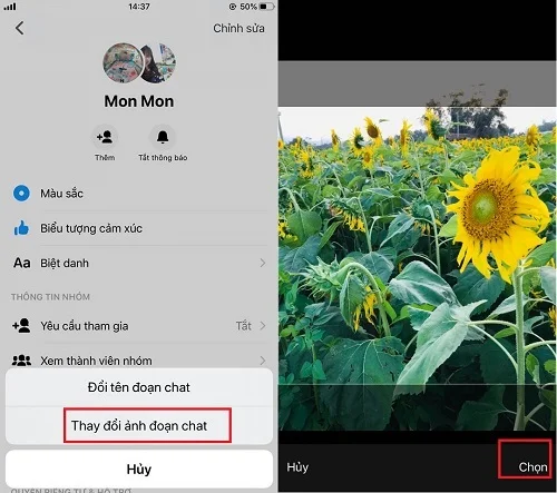 ảnh luật nhóm trên messenger, mẫu 11