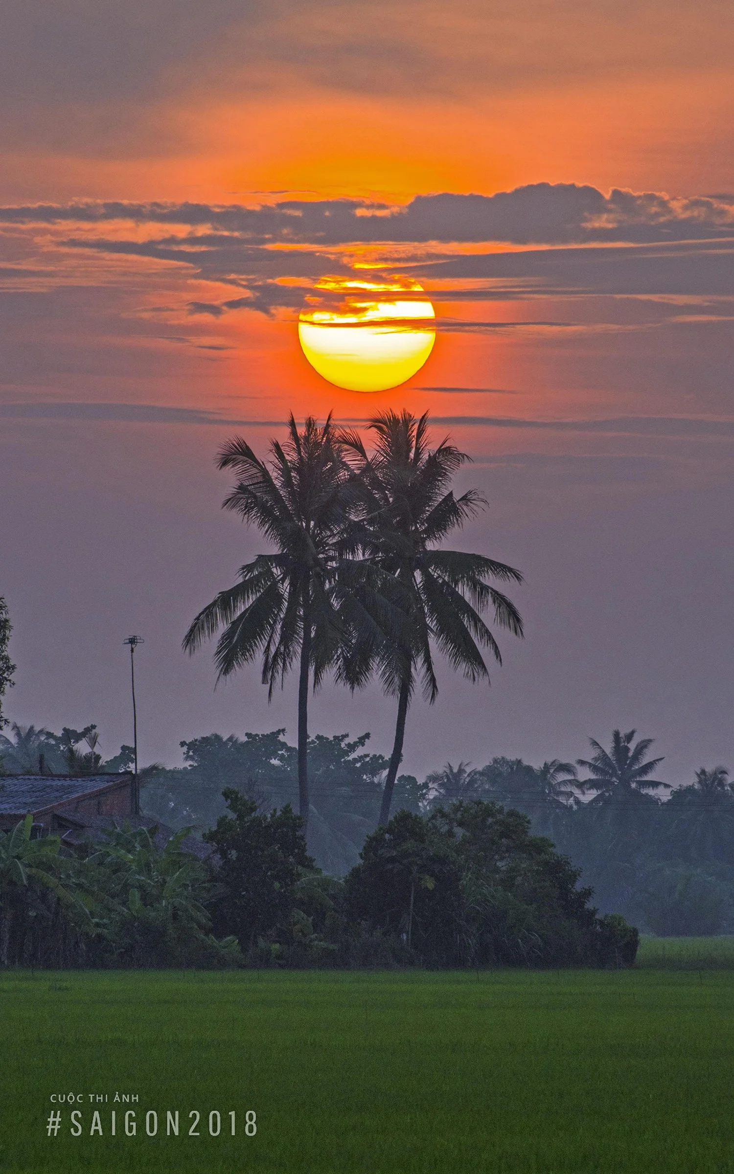 Hình ảnh bình minh tuyệt đẹp