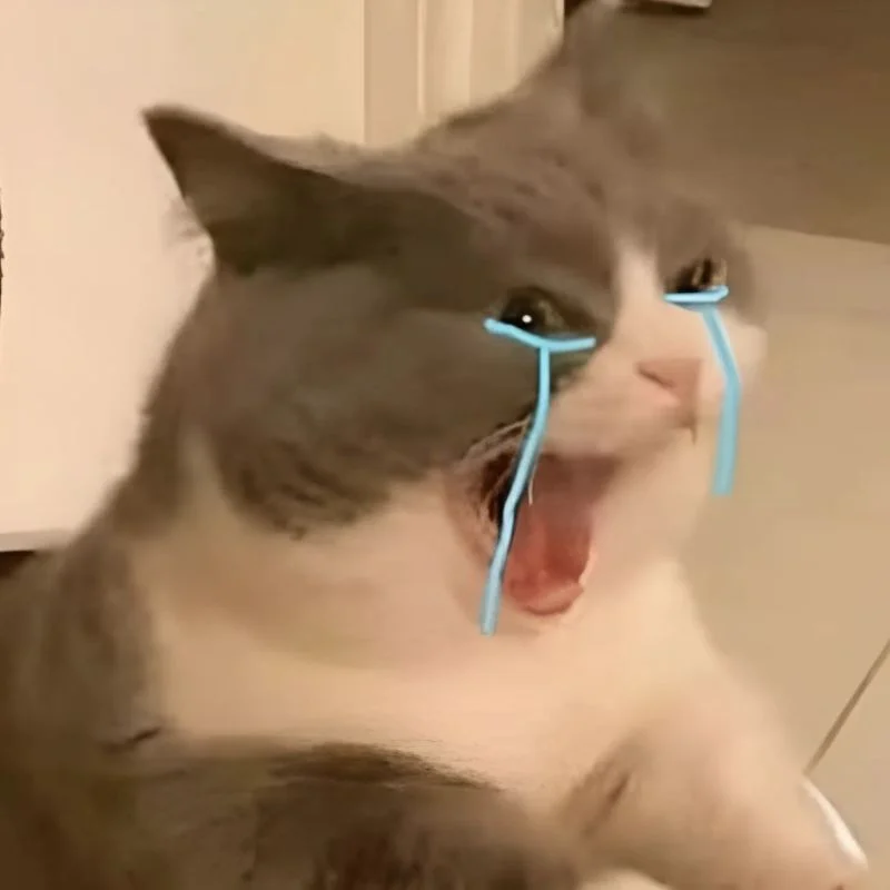500+ meme mèo bựa, cute, khóc cười siêu vô tri hài hước cho các sen