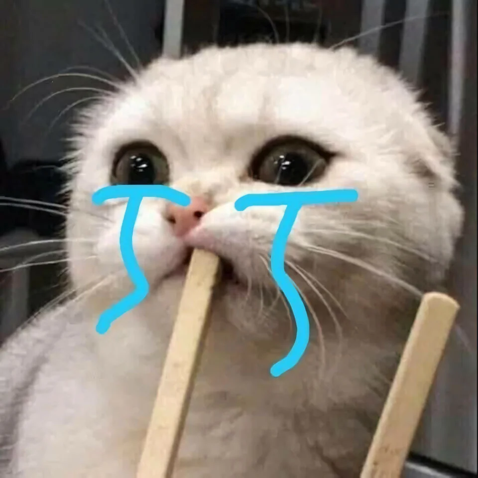 99.000+Ảnh Mèo Khóc 🐱🥺😭, Ảnh Meme Mèo Khóc, Buồn Ảnh Mèo Khóc Cute