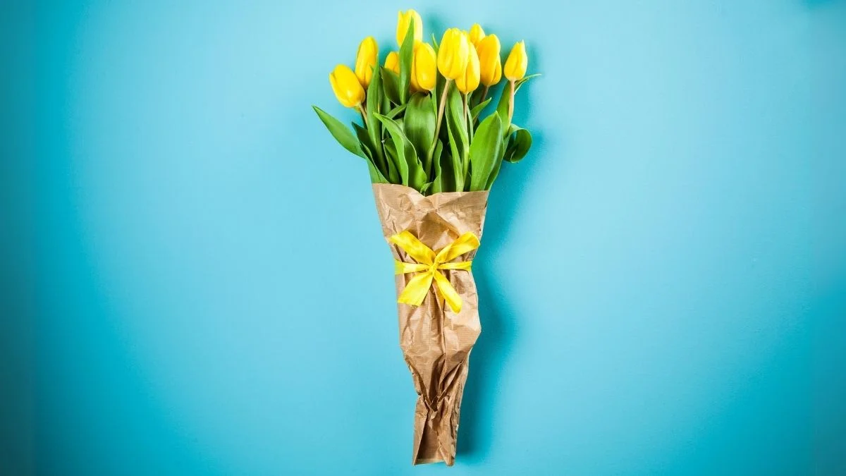 Hình nền máy tính hoa Tulip tráng lệ