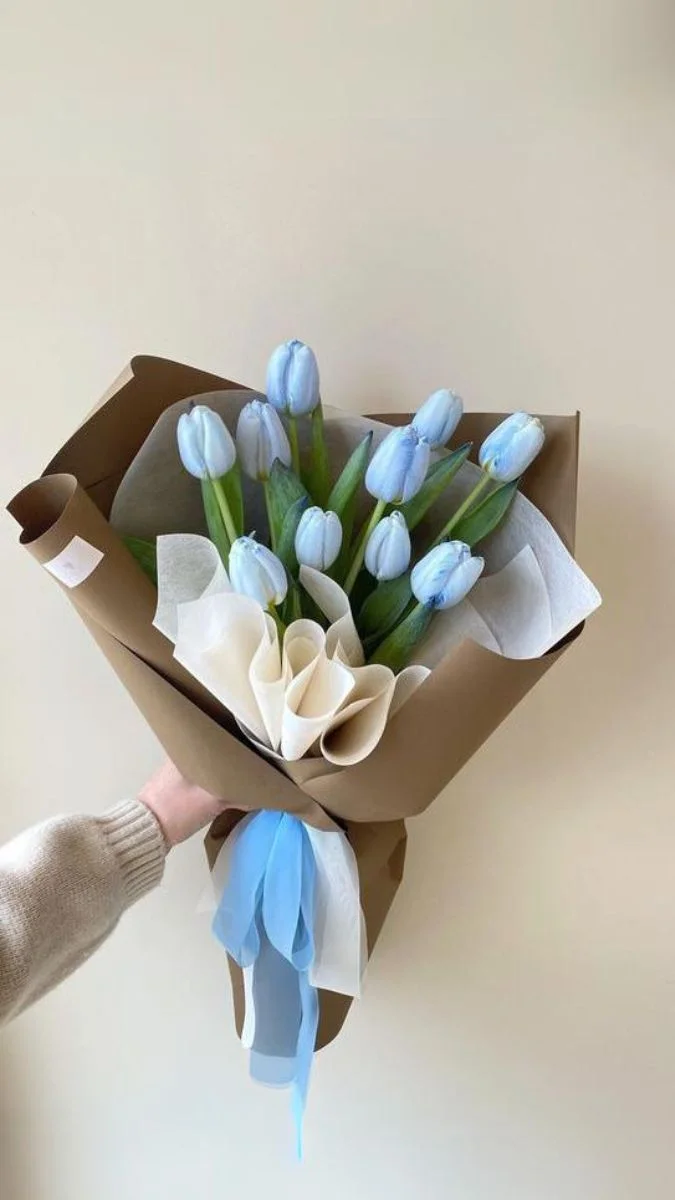 Hình nền hoa Tulip cho điện thoại đẹp nhất