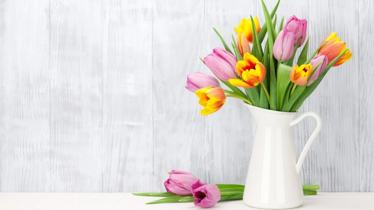 Hình nền máy tính hoa Tulip đầy sắc màu