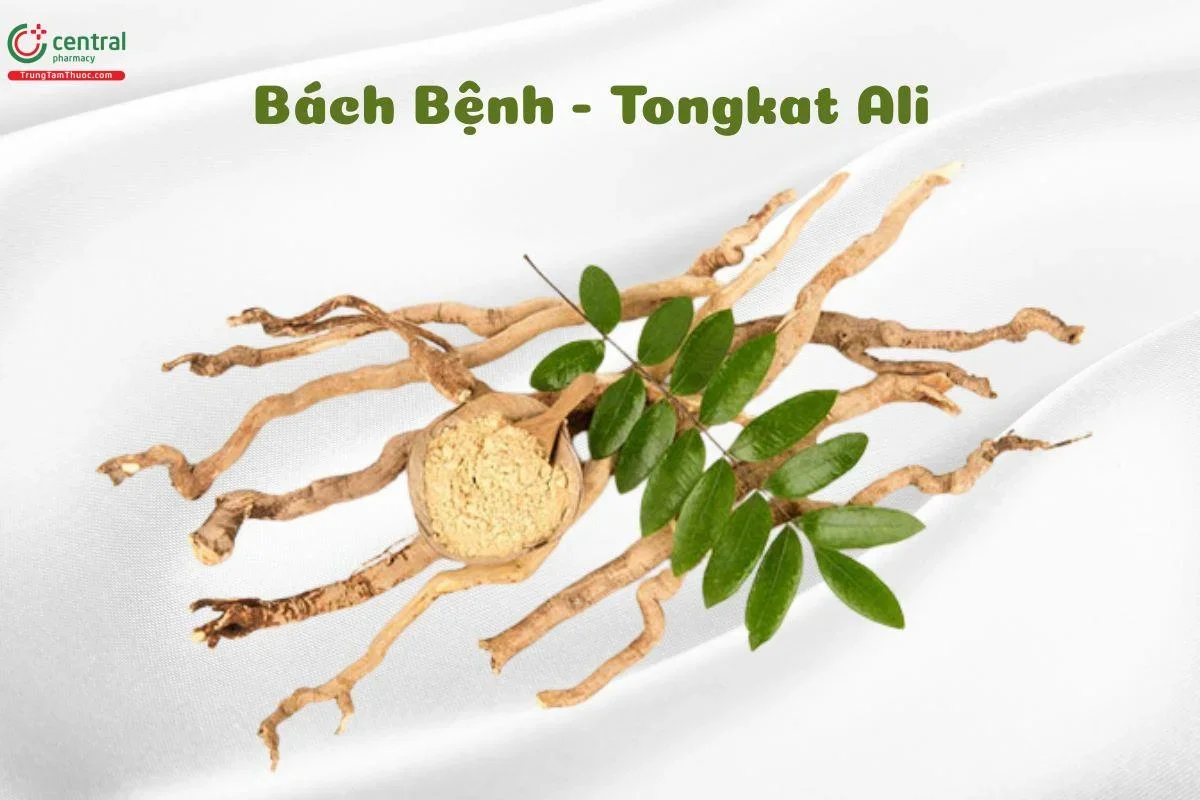 Ảnh minh hoạ thuốc tăng kích thước dương vật số 12