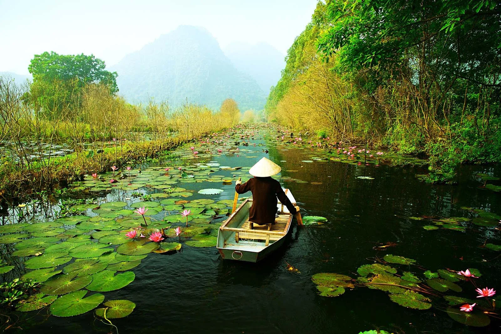Ảnh đẹp Việt Nam - Những hình ảnh đất nước, con người Việt Nam tươi đẹp