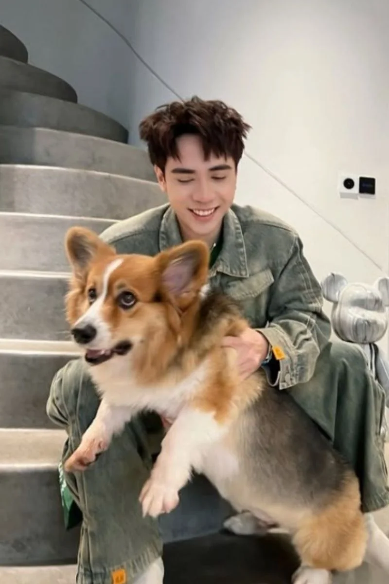 Ảnh quang hùng masterd vui vẻ chơi đùa cùng chú chó Corgi tại nhà