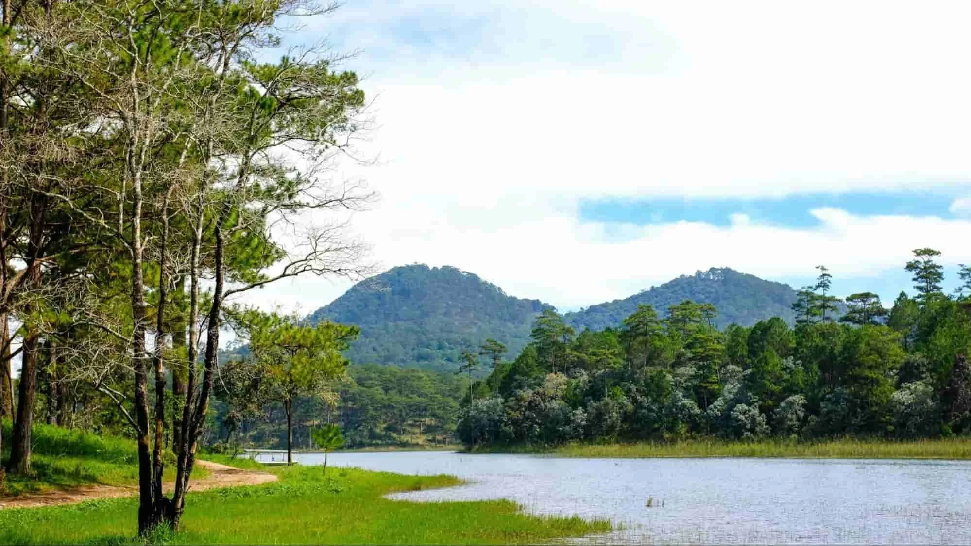 hình nền máy tính đẹp phong cảnh hồ nước và rừng cây bình yên