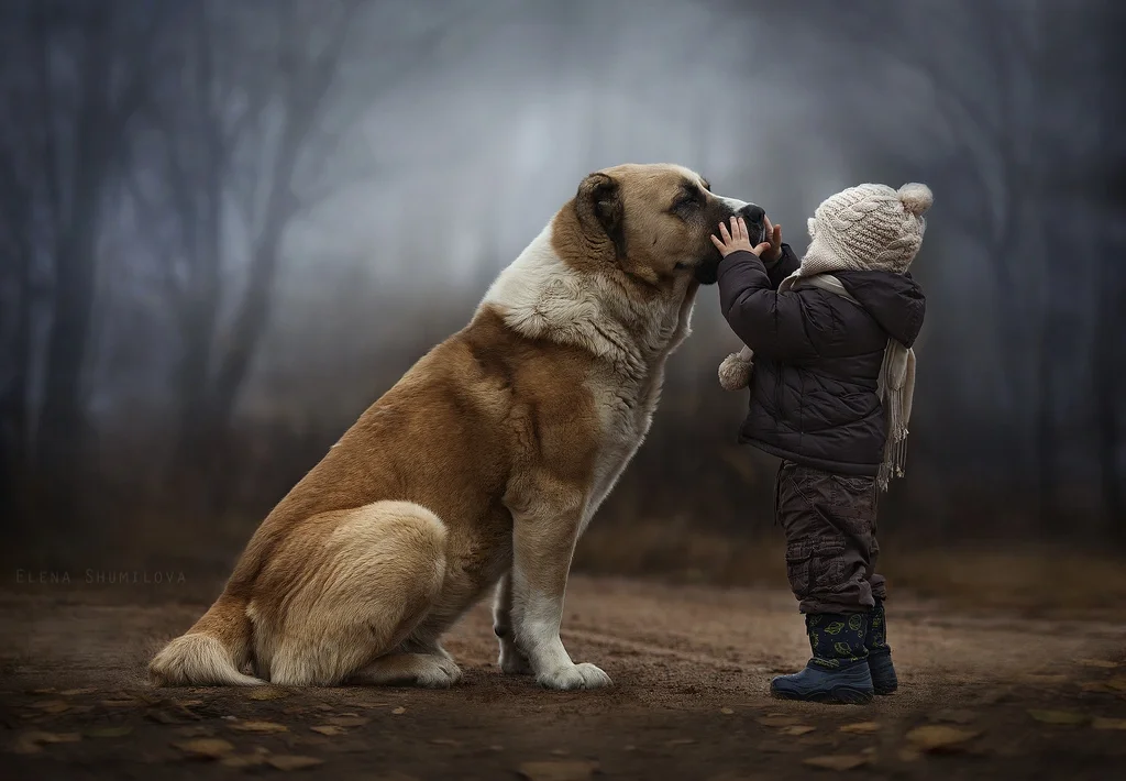Một bức ảnh không tiêu đề của tác giả Elena Shumilova.