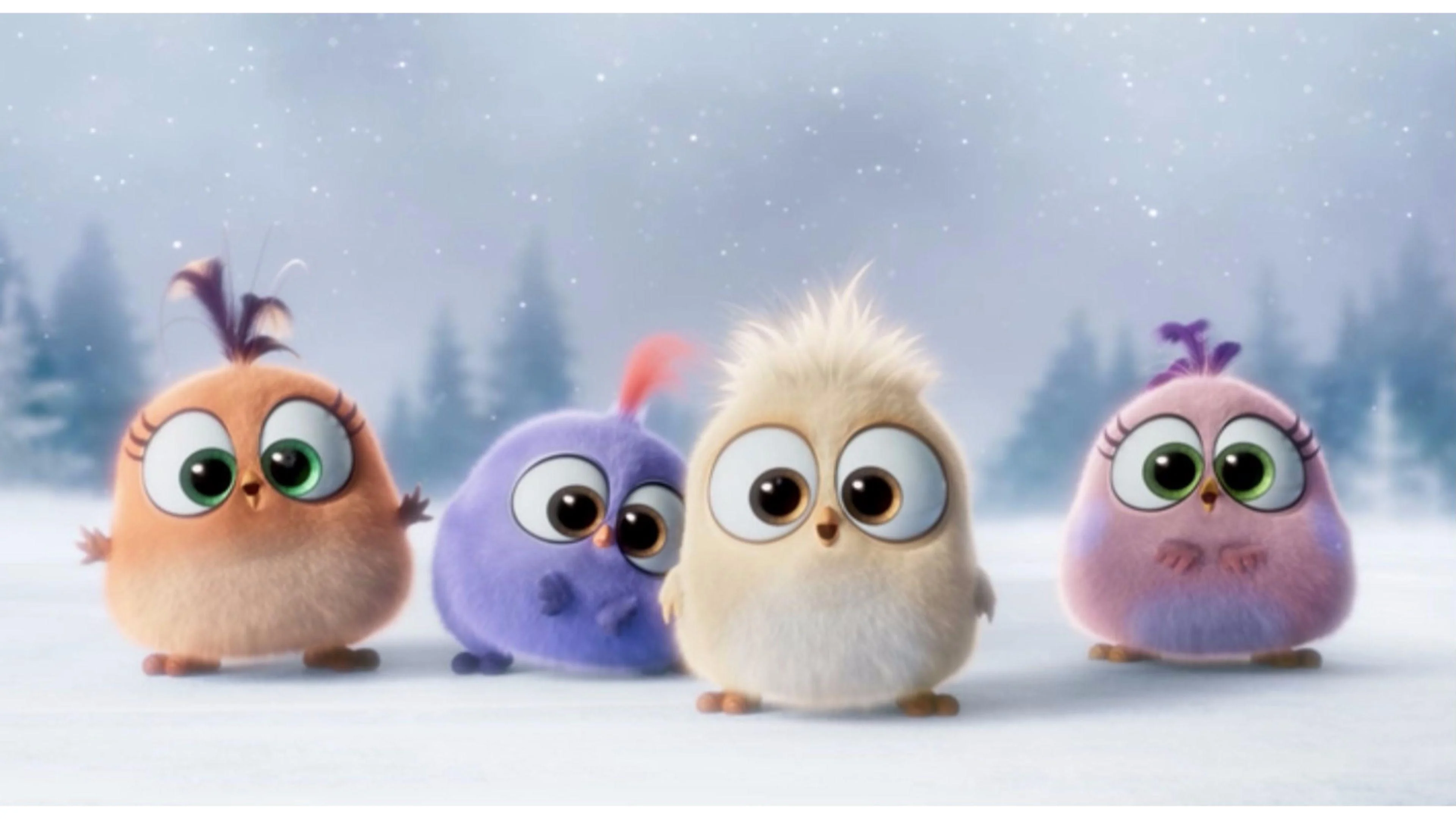 hình nền đẹp cute với những chú chim hoạt hình dễ thương